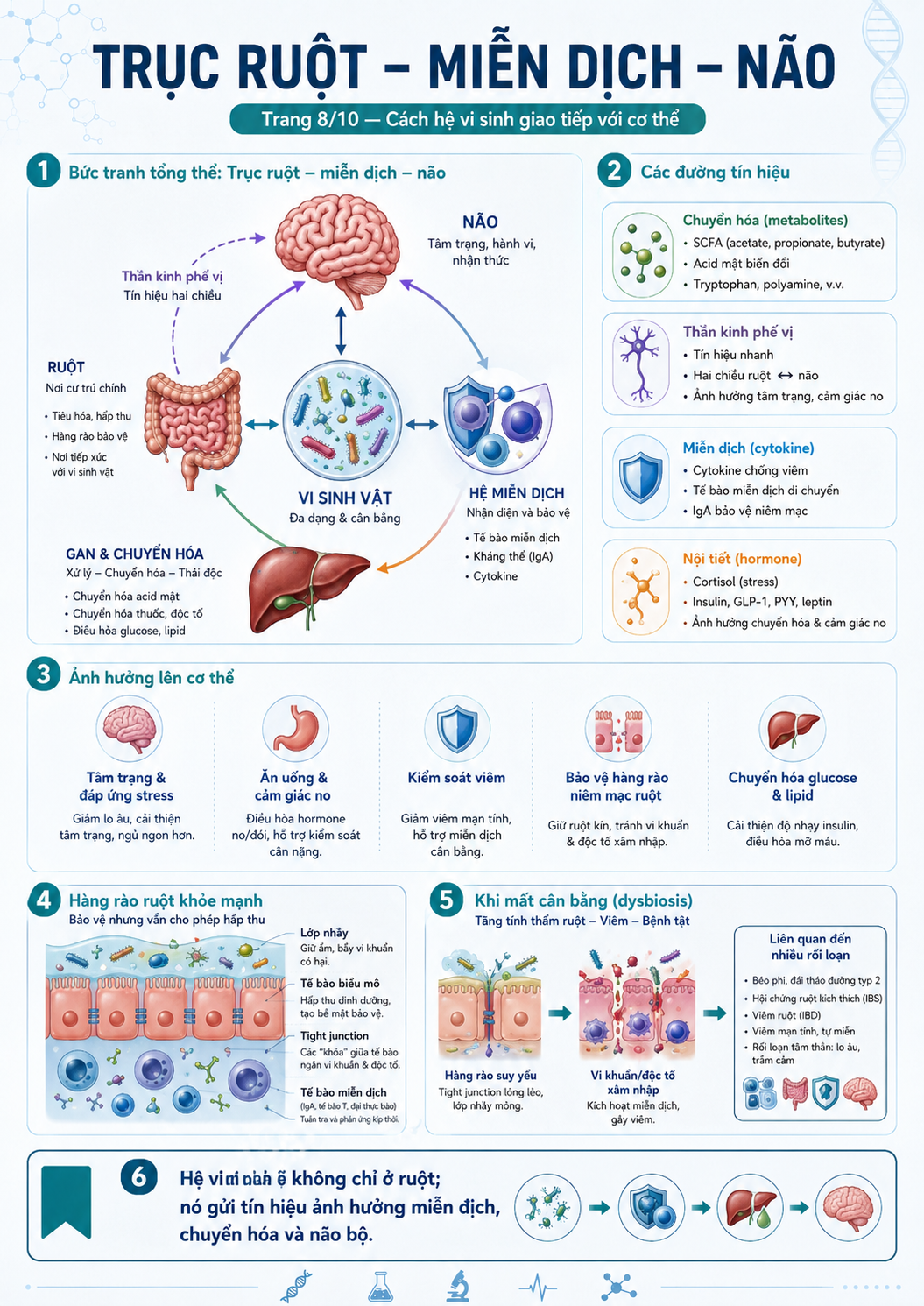 Infographic trục ruột miễn dịch não — các đường tín hiệu thần kinh phế vị, chuyển hóa SCFA, miễn dịch cytokine, hormone, ảnh hưởng tâm trạng và sức khỏe